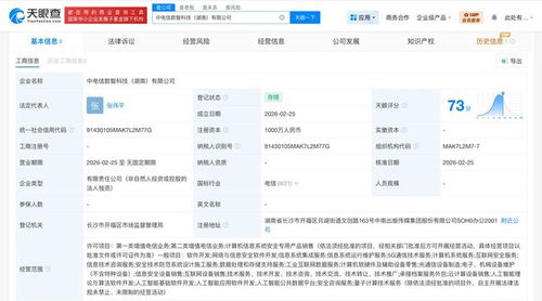 中国电信在湖南成立数智科技公司，聚焦网络与信息安全软件开发